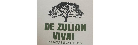 DE ZULIAN